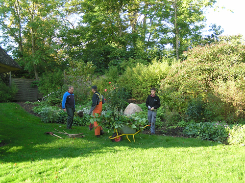 Beplantning