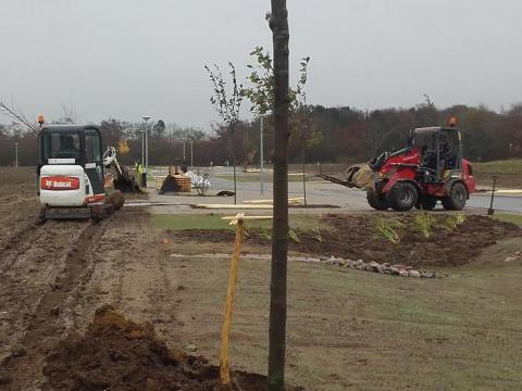 Plantearbejde på Rosinfelt Tønder