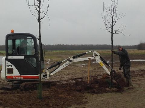 Plantearbejde på Rosinfelt Tønder