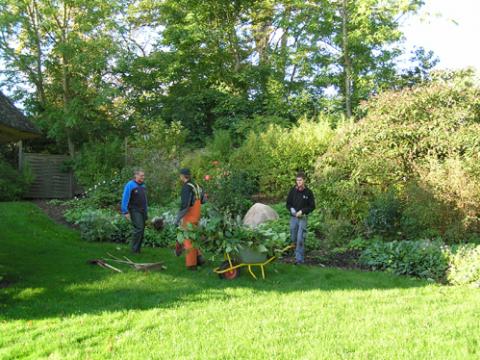 Beplantning