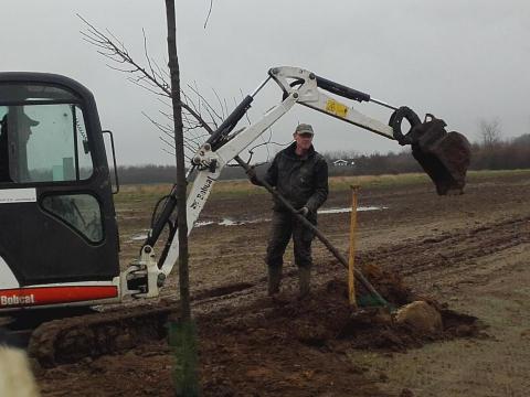 Beplantning