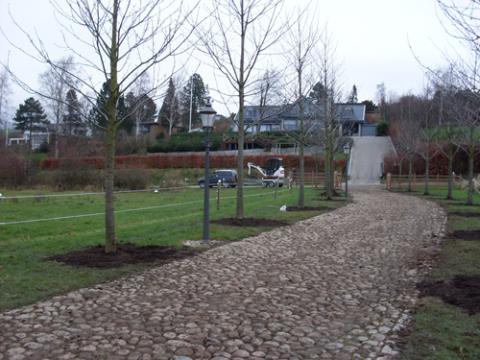 Beplantning