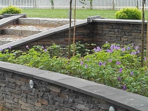 Beplantning