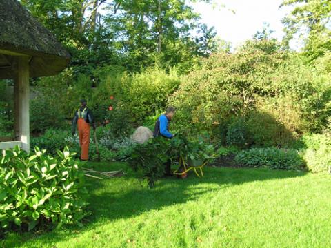 Beplantning